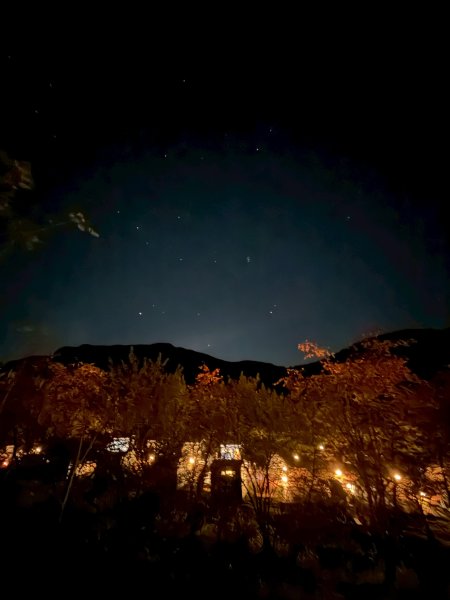 1141108-09桃山單攻2935944