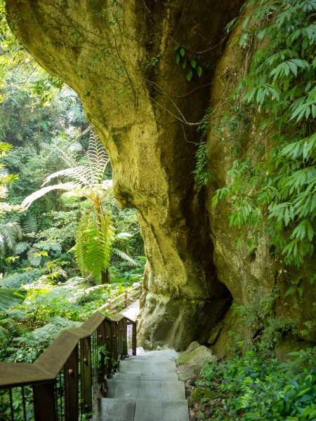 三民蝙輻洞2802486