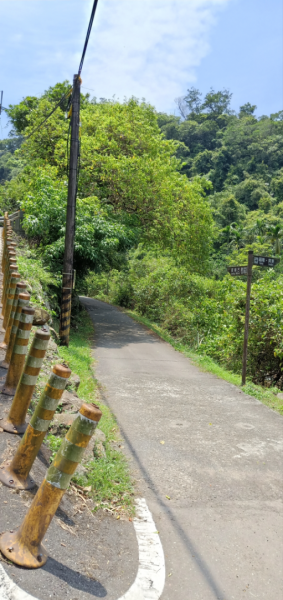 草嶺古道，是一條台灣北部頗具知名度的登山步道376951
