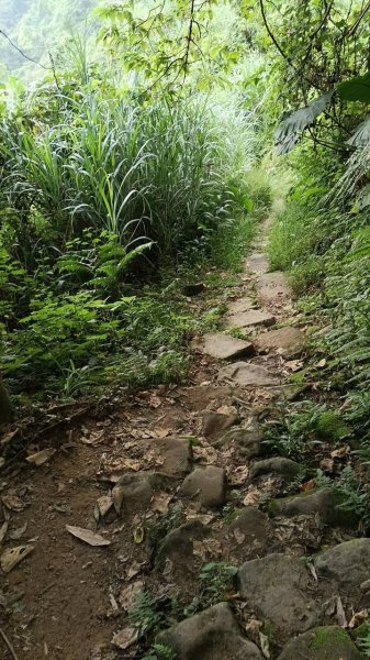 20251004 馬那邦山 - 珠湖 登山口2904791