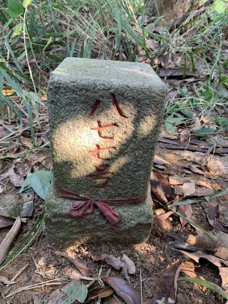 20251115高雄大坪頂2938116