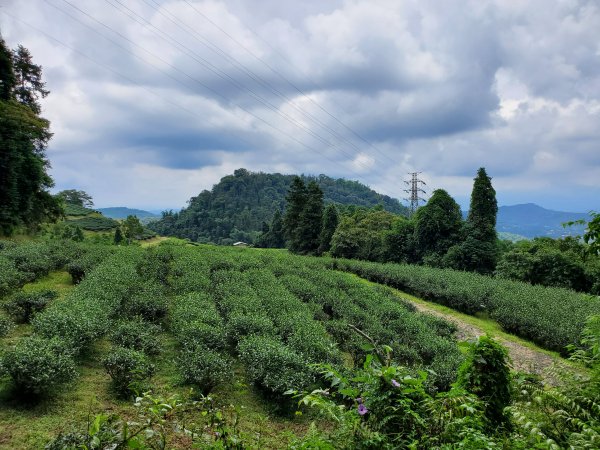 【南投|貓囒山】1049758