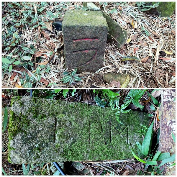 北投清天宮-外人別莊-馬偕別墅-面天山系O型走2787812