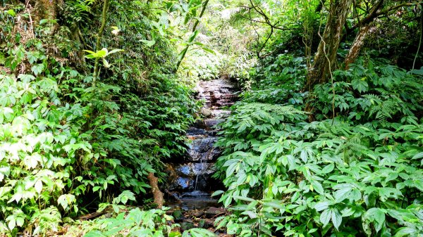 番王厝,番婆厝,王子厝,公主厝2827590