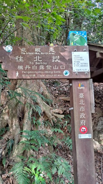 台北大縱走第一段1249139