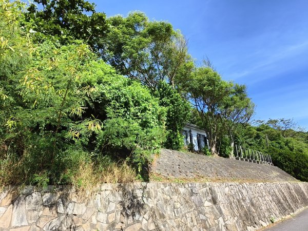 [漫遊縱谷 愛在花東-01/10] 2025_1011 大武觀海步道2912896