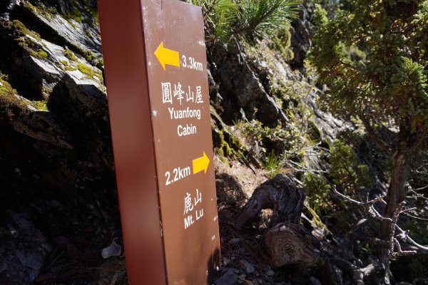 台灣百岳 | 玉山後四峰2575729