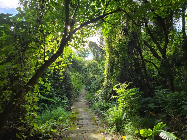 虎頭埤環湖步道（新化虎頭山）2890918