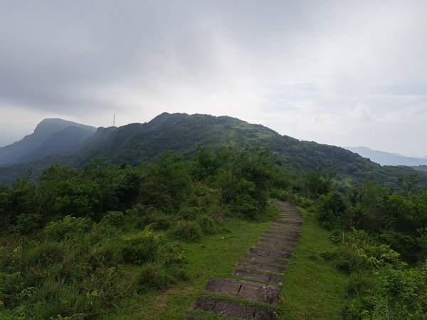 新北桃源谷步道（大溪線）3106373