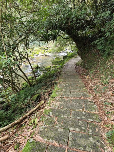 2026-0219外按-烏塗溪步道3005781