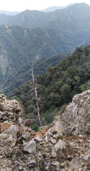 鳶嘴西稜線、鳶嘴山、稍來山縱走440479