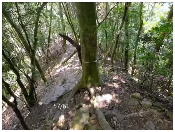 屋我尾山 北登山口 (大雪山林道31.3K)2985518