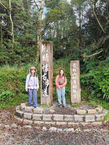 見晴懷古步道2940570