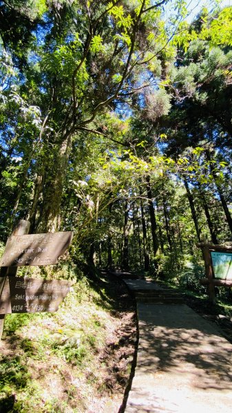 東眼山國家森林遊樂區-仙氣滿滿下午茶1201709