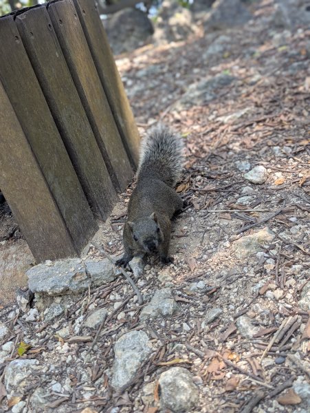 2025.03.25－壽山健走2746401