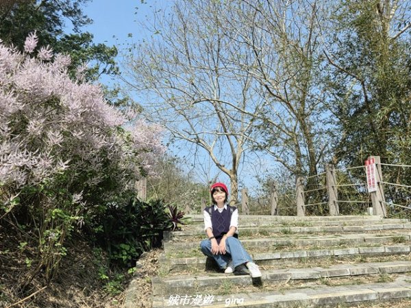 【苗栗頭屋】墨硯山步道3011340