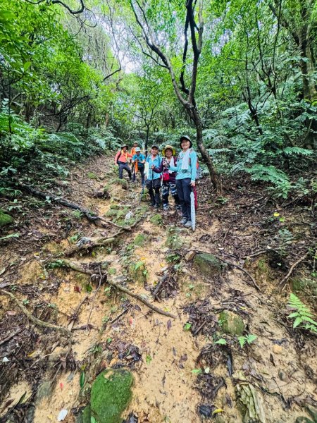 大武崙情人湖公園走瑪鋉山3075056