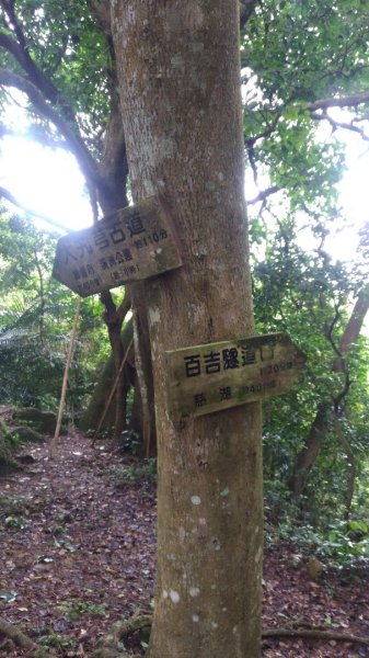 大艽芎古道-溪洲山-頭寮山577975