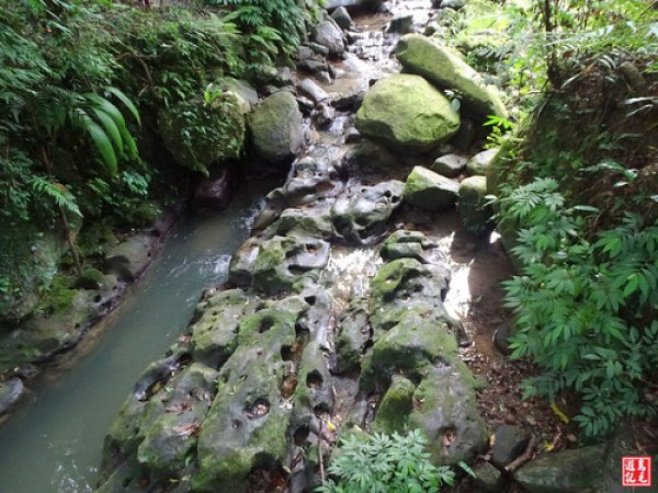 【台北市】貓空指南宮茶香壺穴步道