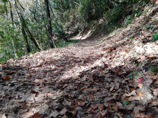 政府規劃第一條國家步道〜霞喀羅古道467728
