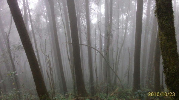 20161023新竹大混山,李棟山縱走74542