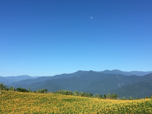 六十石山衝日出 - 金針花海之旅59288