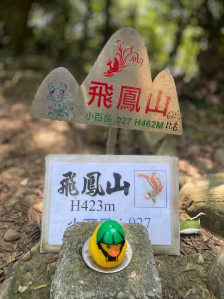 飛牛縱走-飛鳳山-中坑山-板根森林🌳-倒別牛山2591415