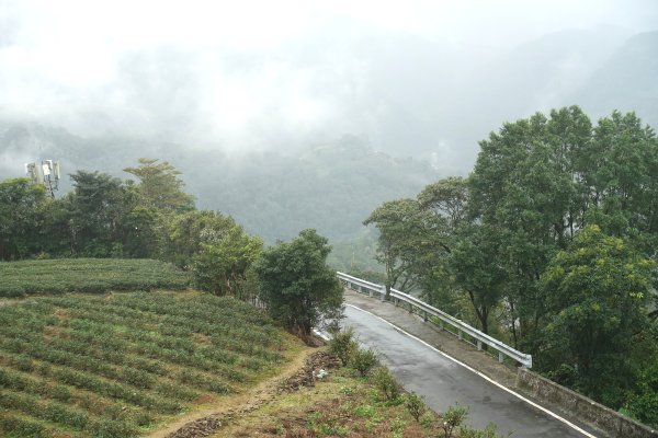 南山寺觀景台3086088