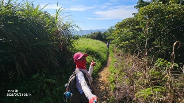 小格頭獅頭山.鱷魚島.八卦茶園3089958