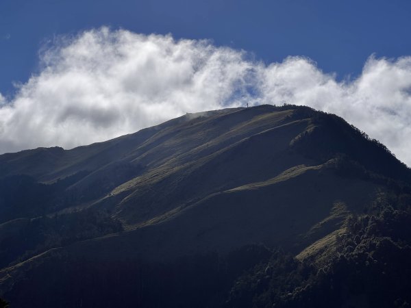 合歡山風景 2024/1/17-182417593