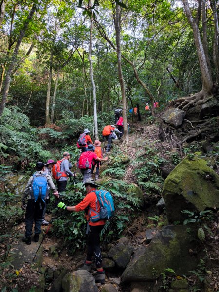 2026-02-22 內湖雙心縱走3006795