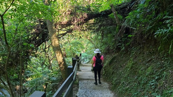 2021-1107 造鎮五城山天上山三粒半永寧1509635