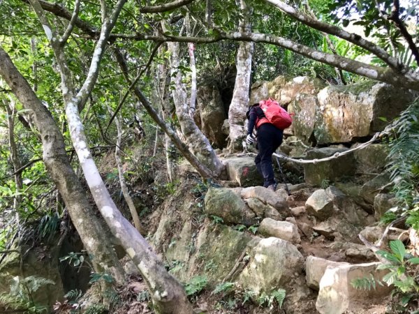 五寮尖上大風狂448888