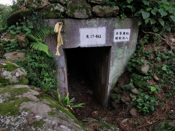 花蓮的必訪步道：美崙山公園、林田山林業文化園區 - 2022/2/31671404