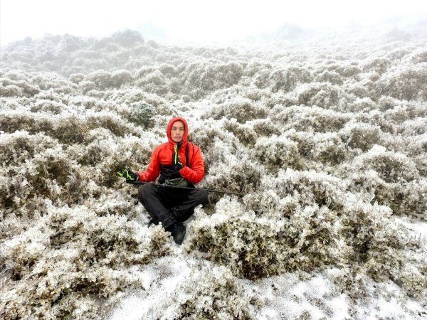20250319～20嘉明湖國家步道🥶🥶🥶殘念😭2739772