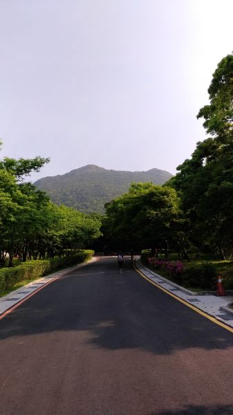 七星主東日出304798