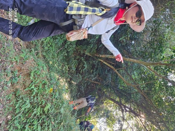 20251117新竹內灣三山四峰(內灣山.麥樹仁山南峰.麥樹仁山.白石湖山)2939885