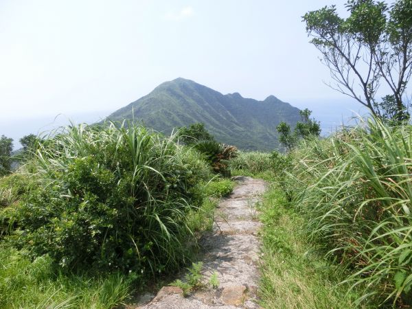 貂山古道．百二崁古道．樹梅坪古道134019