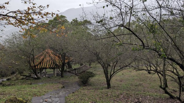 114.12.27尖山-40砲陣地之旅2971744