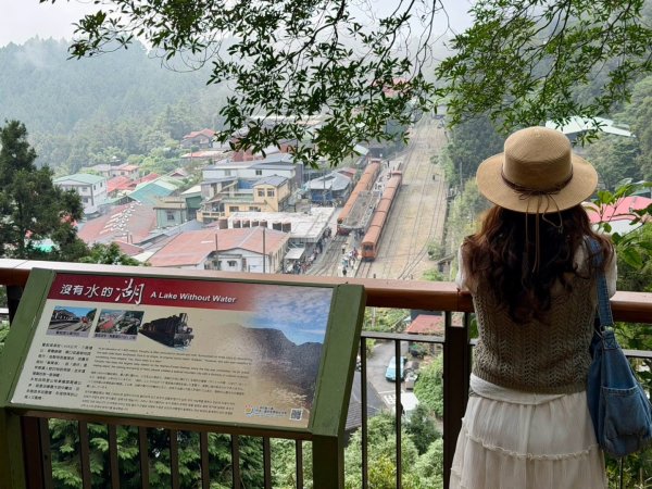 奮起湖 奮起步道  老街 老老街3119280