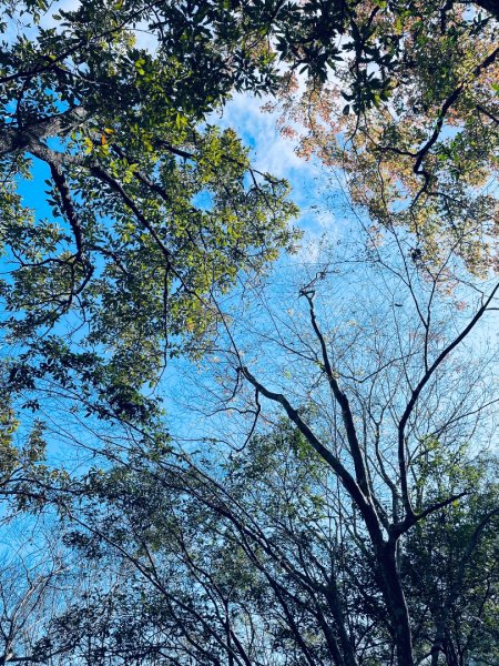 20241230 台中谷關捎來步道2739171