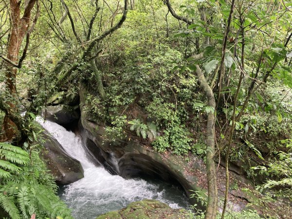 暖東峽谷 淡蘭古道暖東舊道 上小百岳五分山來回13K