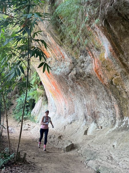 20250913_三峽鳶山爬山趣2882794