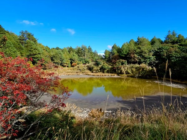 小雪山天池步道2962664