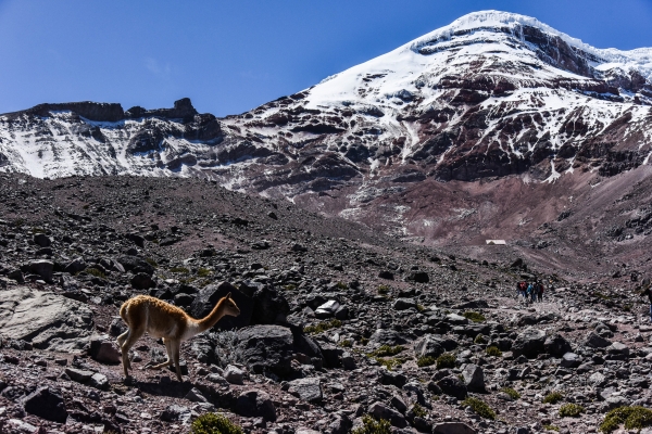 厄瓜多最高峰欽伯拉索山(6310m)攀登54362