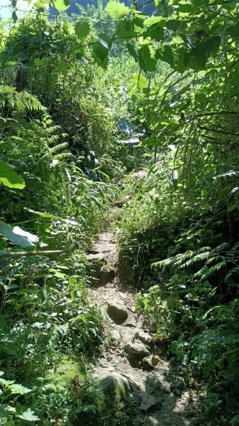 20251004 馬那邦山 - 珠湖 登山口2904879