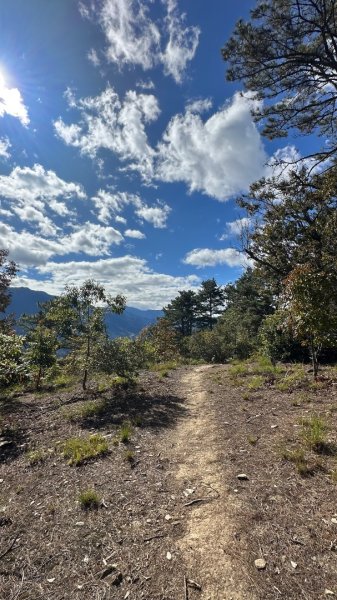 馬武霸下武陵2962343