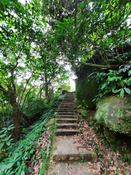 20230722 頂山石梯嶺縱走坪頂古圳，聖人瀑布2227218