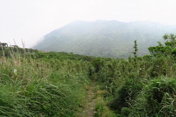 大屯山連峰步道連走二子坪43934