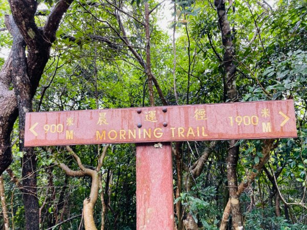 1120326 HK西高山｜盧吉道-夏力道O繞2085415